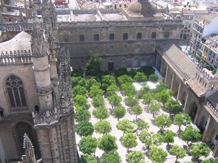 orange tree courtyard