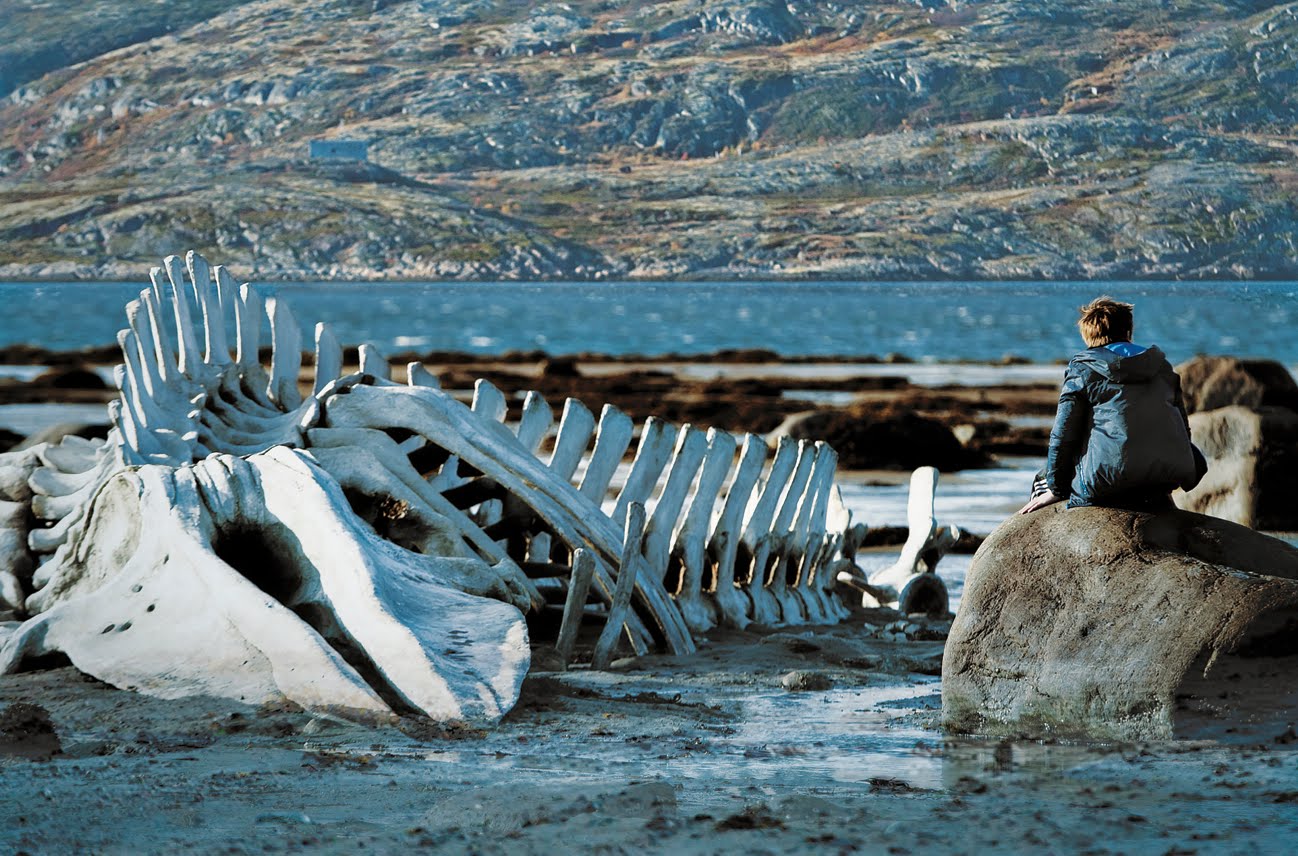 whale skeleton.jpg