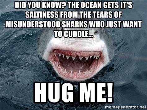 shark hug me