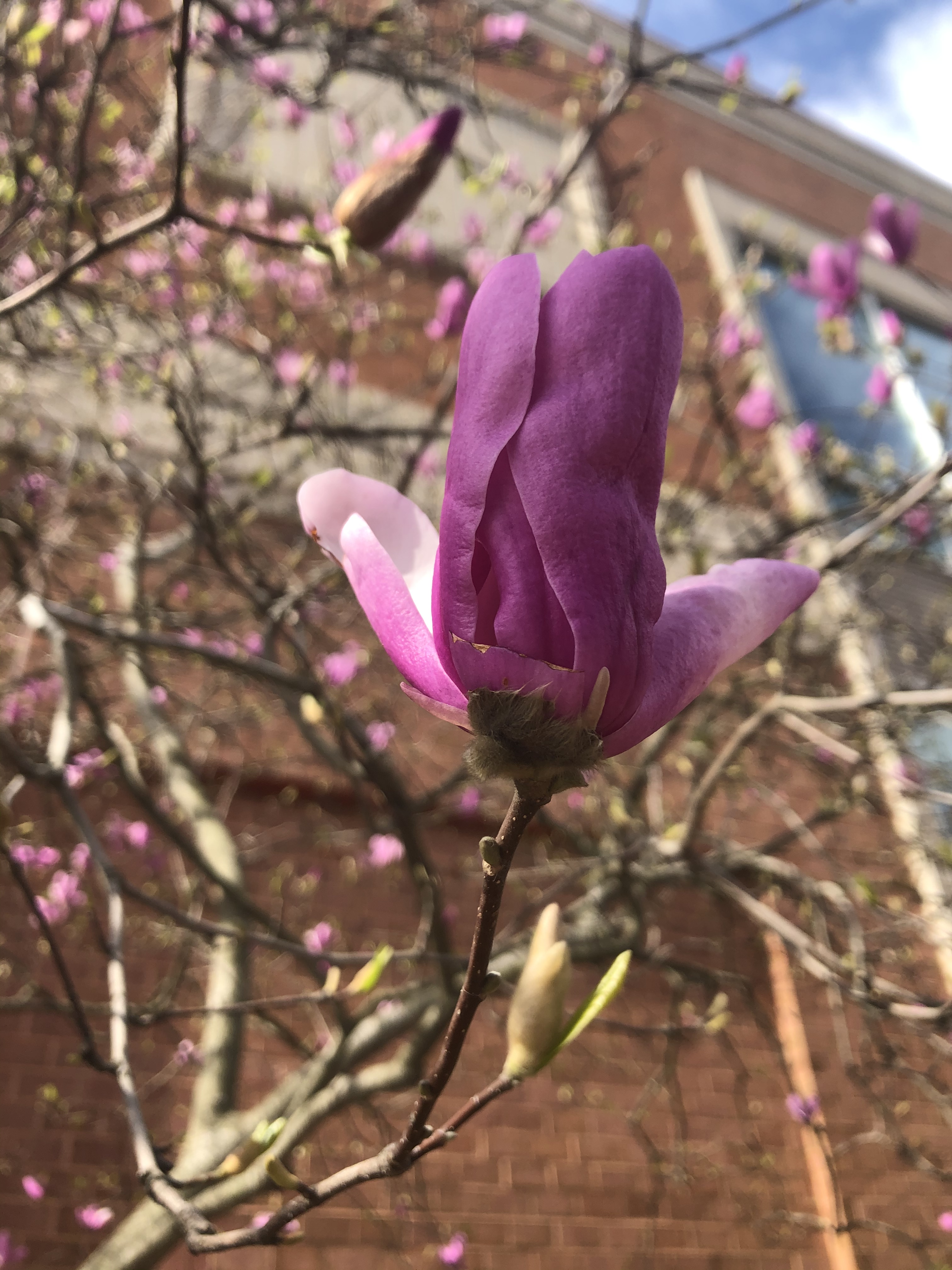 B406503E-4FD0-4E3C-BAA0-AEE35F9C6AA2